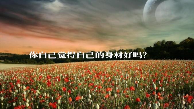你自己觉得自己的身材好吗？