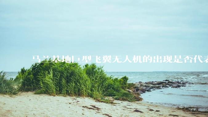 马兰基地巨型飞翼无人机的出现是否代表制造b21 类似物对于中国来说不再是个难题。?