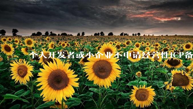 个人开发者或小企业不申请经营性ICP备案，怎样开发APP盈利?