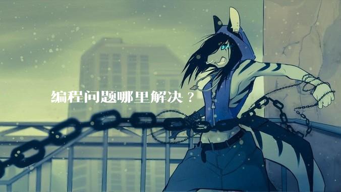 编程问题哪里解决?