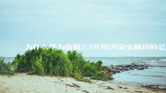 为什么华为价值2.3W的鸿蒙电脑用的是美国西数的中低固态硬盘？？