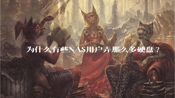 为什么有些NAS用户弄那么多硬盘?