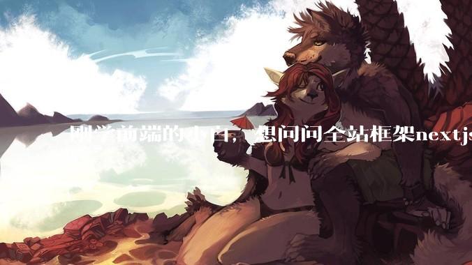 刚学前端的小白，想问问全站框架nextjs+shadcn+prisma为什么在国内不火呢？